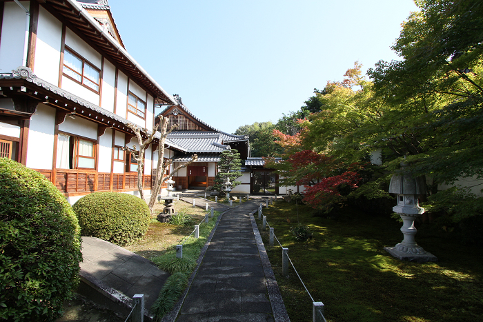 紅葉の東福寺 －栗棘庵－_b0169330_2163873.jpg