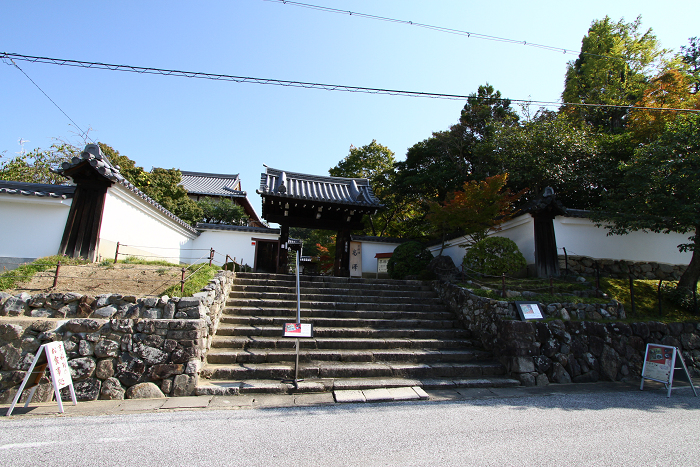 紅葉の東福寺 －栗棘庵－_b0169330_2165322.jpg