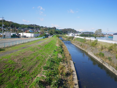 d0252642_1916665.jpg