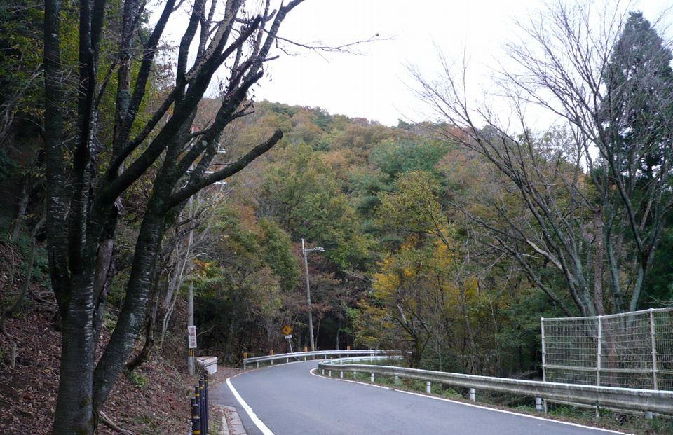 f0090444_2315320.jpg