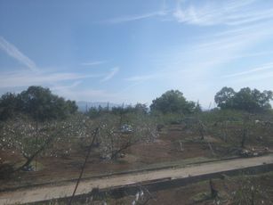 e0106251_01640.jpg