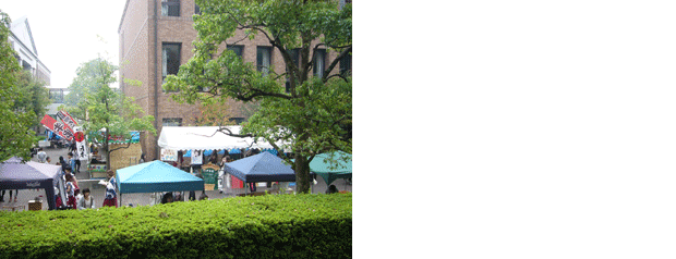 c0225153_2038023.gif