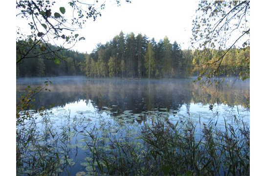 a0187356_11112394.jpg