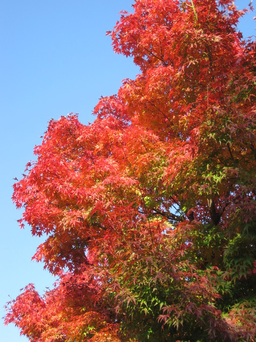 f0236260_11155072.jpg