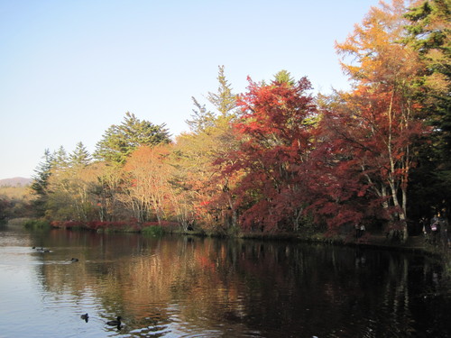 f0236260_112523.jpg