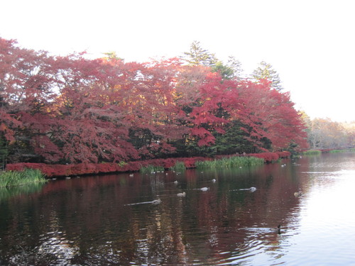 f0236260_11261988.jpg