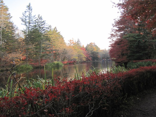 f0236260_11311733.jpg