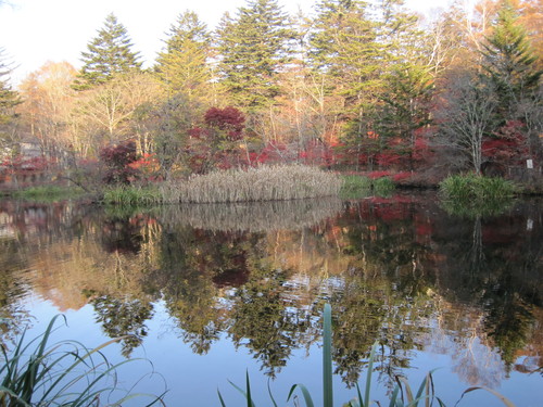 f0236260_11365164.jpg