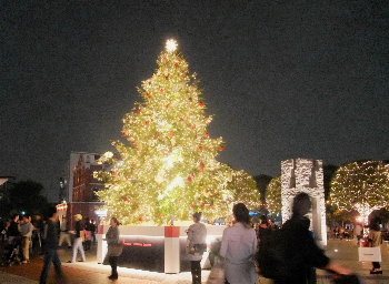 c0055363_14425540.jpg