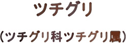 ツチグリ　（麻ブログにわかきのこ図鑑）_d0051963_18272533.jpg