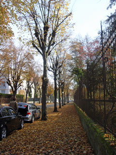 a0184173_74453.jpg