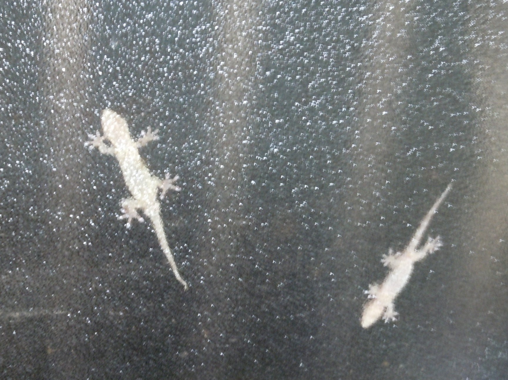 e0210473_11204582.jpg