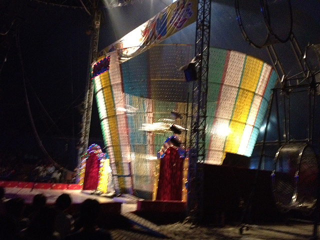 2011年11月7日 サーカスティック_a0202976_9303683.jpg