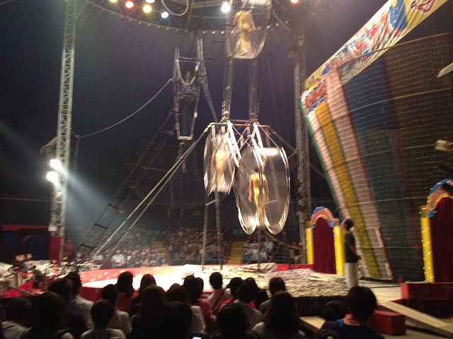 2011年11月7日 サーカスティック_a0202976_957720.jpg