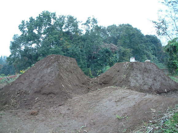 d0105979_127233.jpg