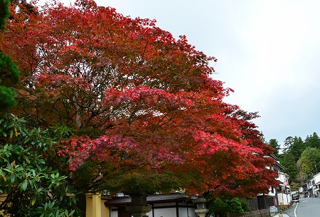 高野山の紅葉　　2011_c0229483_11112876.jpg