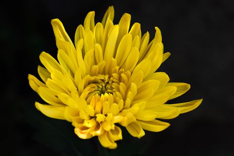 a0240085_15284193.jpg