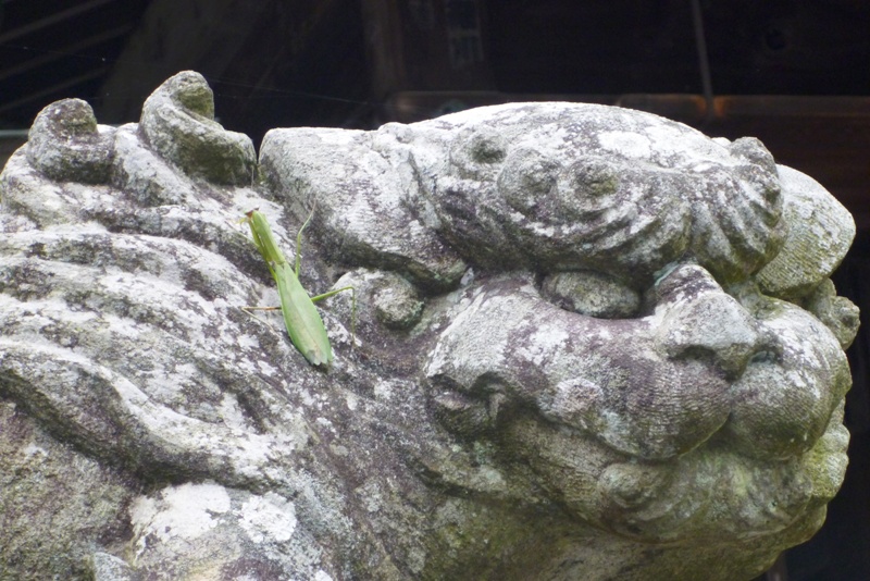 筑波山④　筑波山頂駅～筑波山神社_a0127090_20391984.jpg