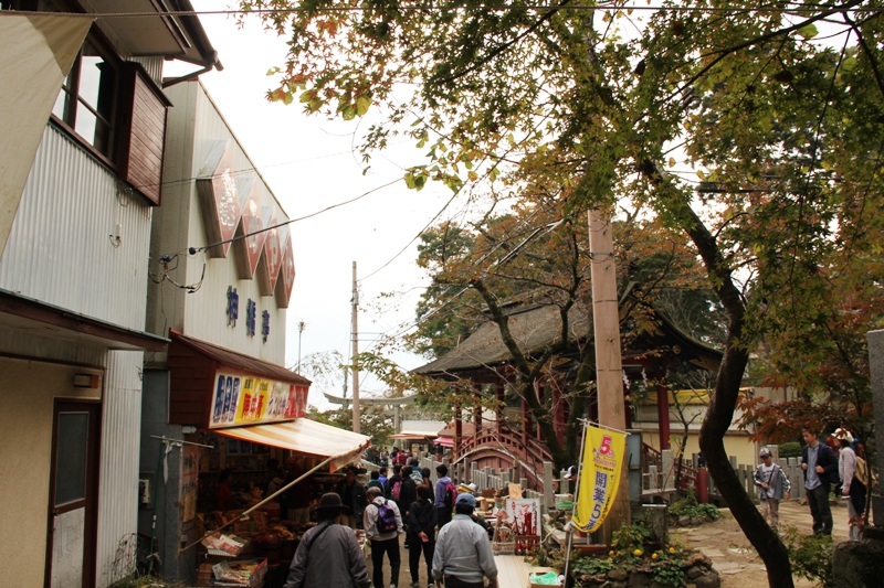 筑波山④　筑波山頂駅～筑波山神社_a0127090_20554737.jpg