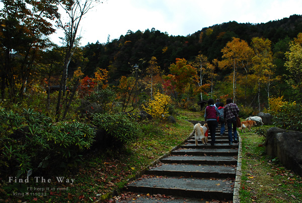 【wanこ】高山オフ 2011 vol.3 〜 平湯大滝_f0054594_18404431.jpg