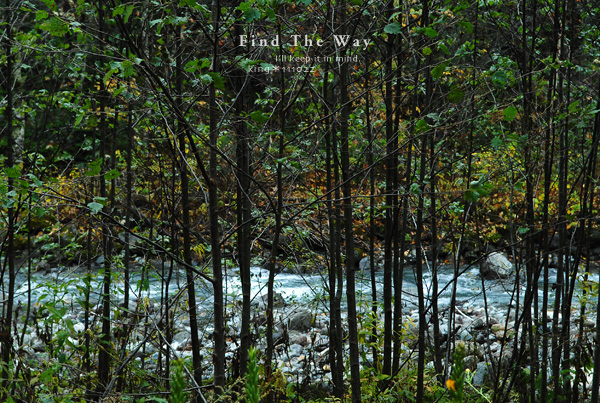 【wanこ】高山オフ 2011 vol.3 〜 平湯大滝_f0054594_18422193.jpg