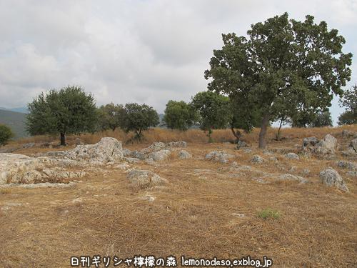 c0010496_2024881.jpg