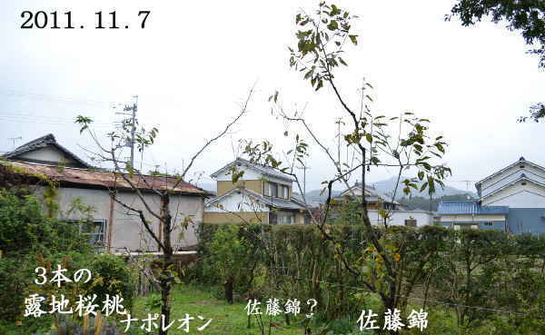 d0122497_16232336.jpg