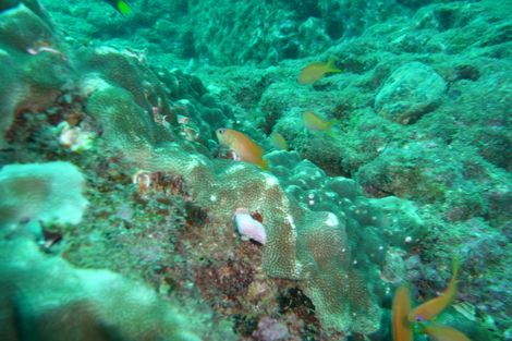 e0115199_2333184.jpg