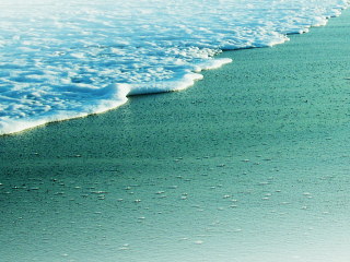 c0074000_22563953.jpg