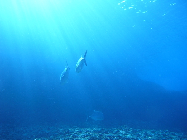 a0201201_12143116.jpg