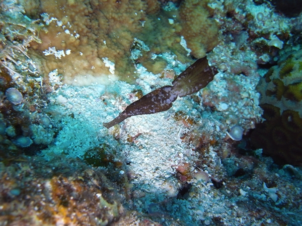 a0201201_12224097.jpg