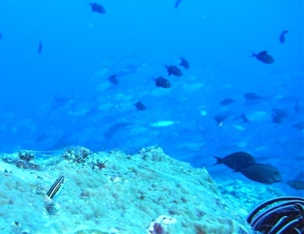 a0201201_12355075.jpg