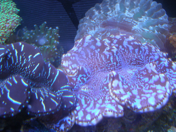 d0120803_18235114.jpg