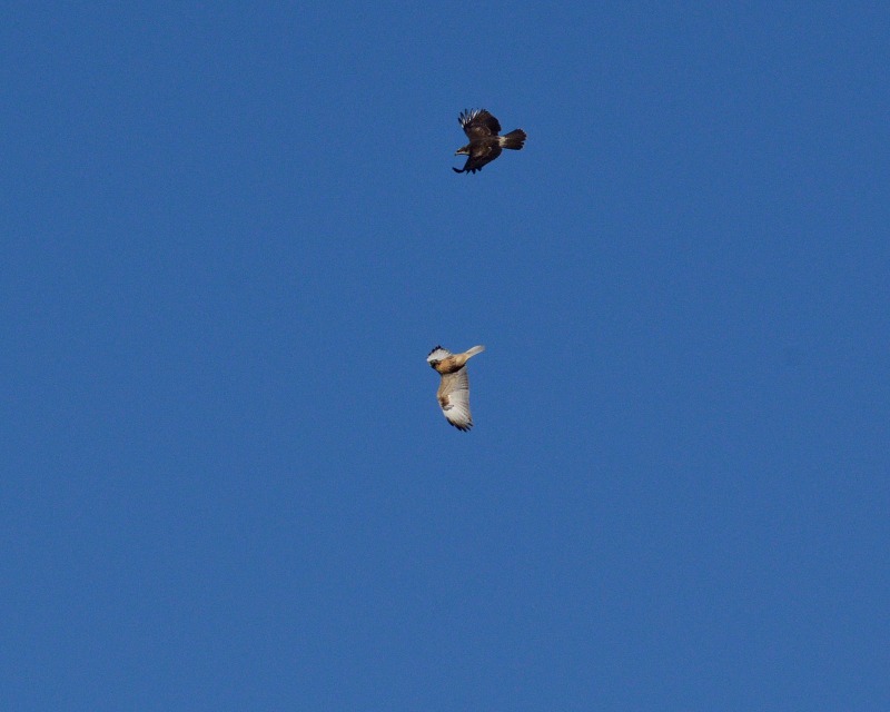 e0103903_19344761.jpg