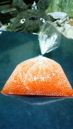 c0017505_9552616.jpg