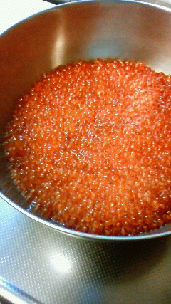 c0017505_9552632.jpg