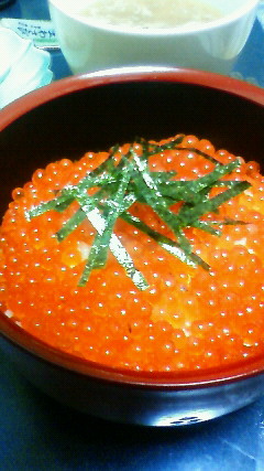 c0017505_9552659.jpg
