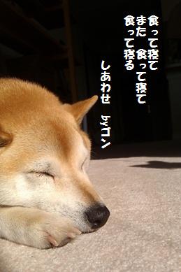 a0172410_046331.jpg