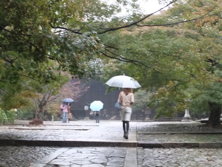 雨の京都とお茶漬けシスターズ_c0114110_9125091.jpg