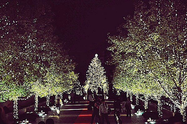 e0202310_12401343.jpg