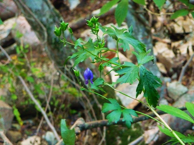 f0182513_03338.jpg
