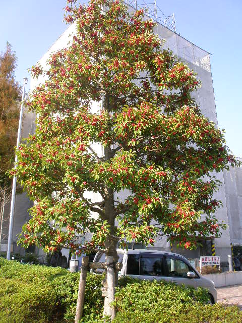 d0240514_1045595.jpg