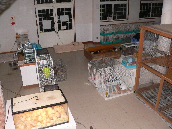 e0002314_22272172.jpg