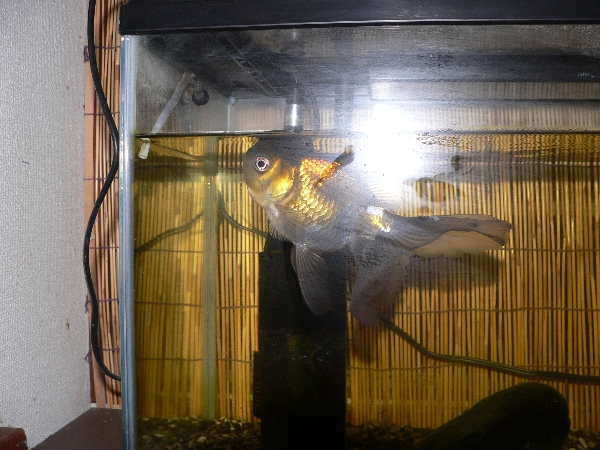 e0002314_22292572.jpg