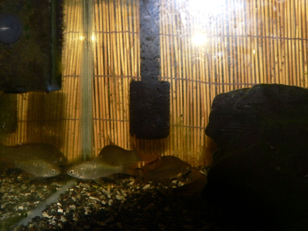 e0002314_22293652.jpg