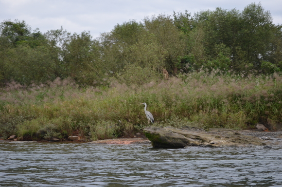 a0201316_2332338.jpg