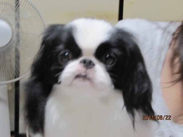 c0200916_16174814.jpg