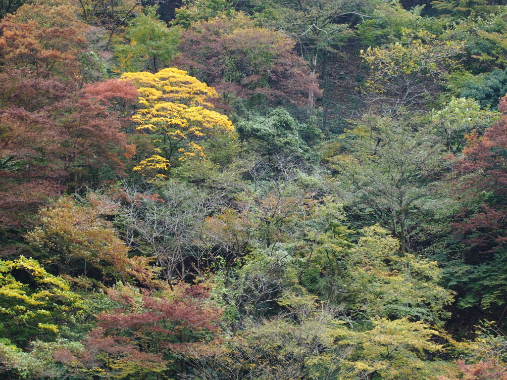 d0192516_23291255.jpg