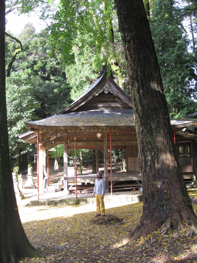 りんご天国♡へ~~_a0125419_10401753.jpg