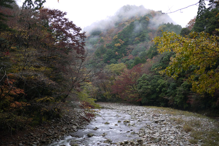 c0064025_204501.jpg